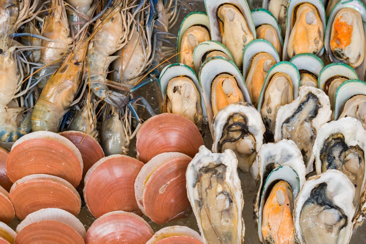 rối loạn cương dương nên ăn gì