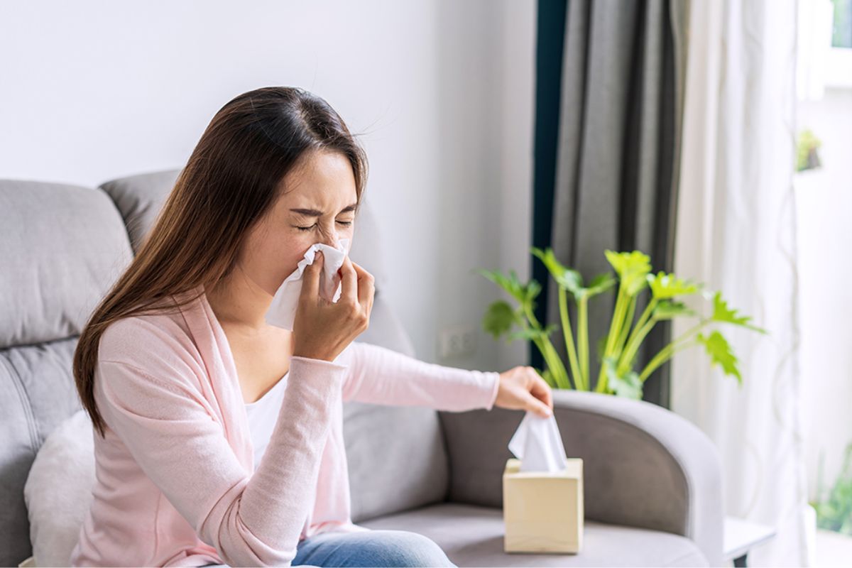 viêm mũi dị ứng là gì