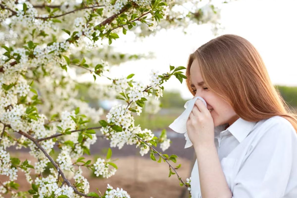 viêm mũi dị ứng thời tiết là gì