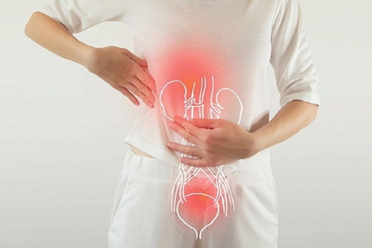 tổng quan về đường tiết niệu