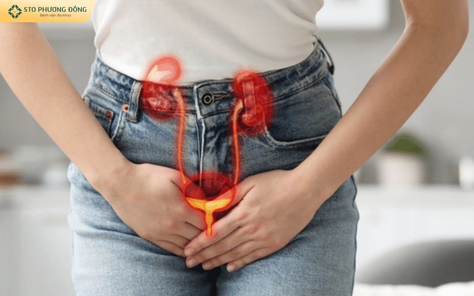 dấu hiệu viêm đường tiết niệu