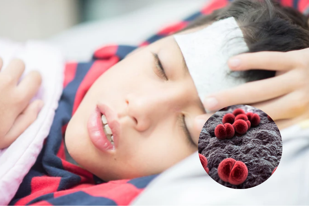 dấu hiệu cảnh báo viêm não mô cầu