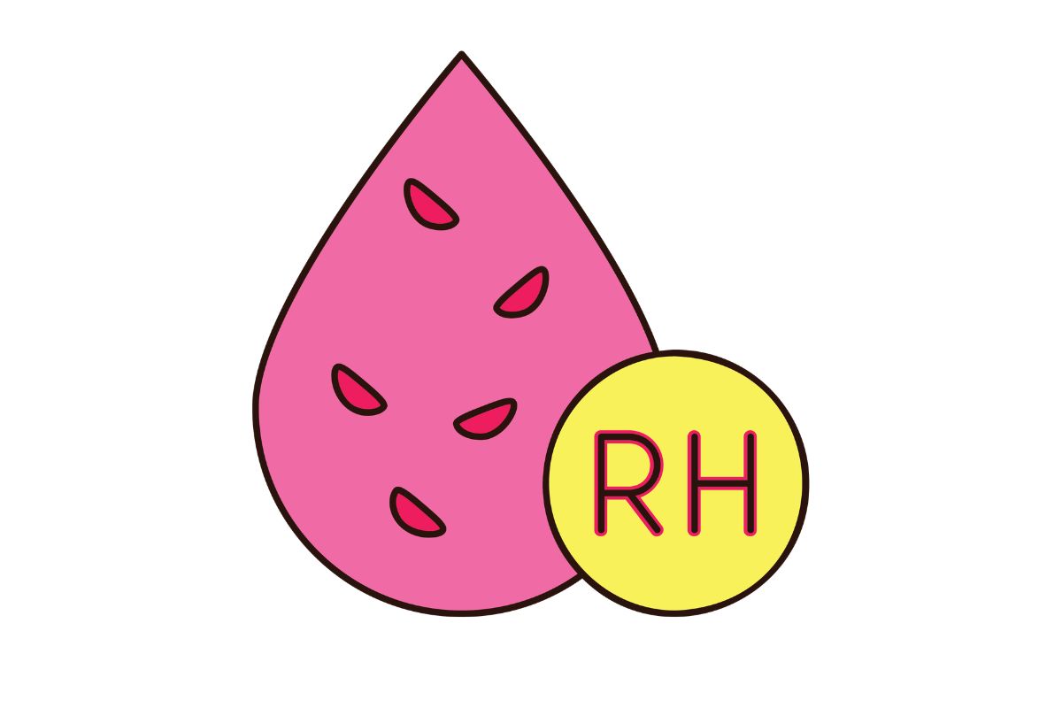 Hệ nhóm máu Rh (Rhesus)